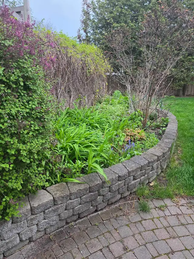 Wanted - Garden Landscape Design Help459814417833011202