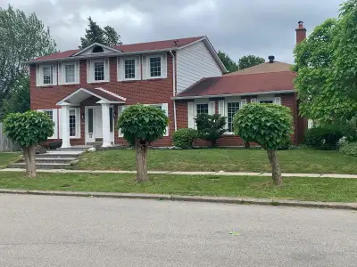 Leslie/Finch - 2 BDRM BSMT APT with separate entry for Rent