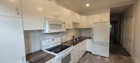 Upper duplex for rent in CDN-NDG - 5 1/2 - 2ème étage de duplex