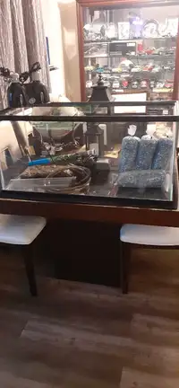 40g aquarium turtle set up