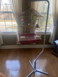 Bird cage, bird stand and cover