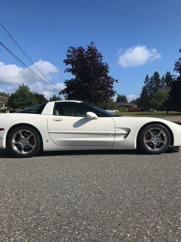 Corvette in Cars & Trucks in Thunder Bay - Image 4