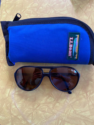 These glasses are in excellent condition and included the case!! Frame made in France!