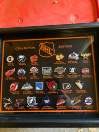 Framed NHL Collectors Edition Pins