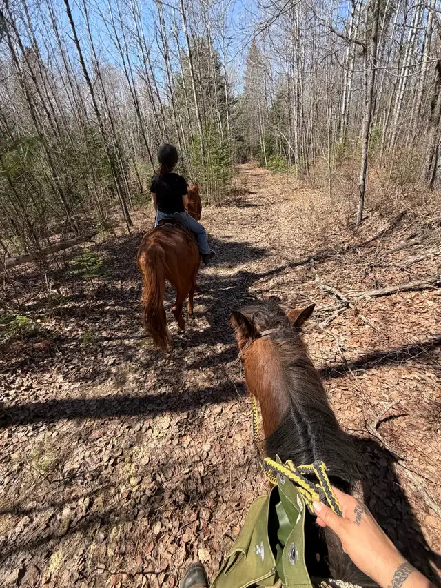 Horseback riding available!441075151595130885