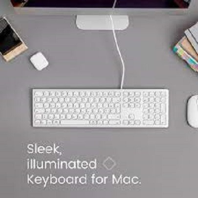 PERIBOARD-325 - Wired Backlit Mac Keyboard in Mice, Keyboards & Webcams in Cambridge - Image 4