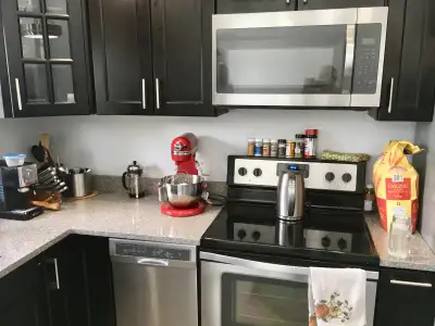 Female U of S Student Luxury Room for Rent $635
