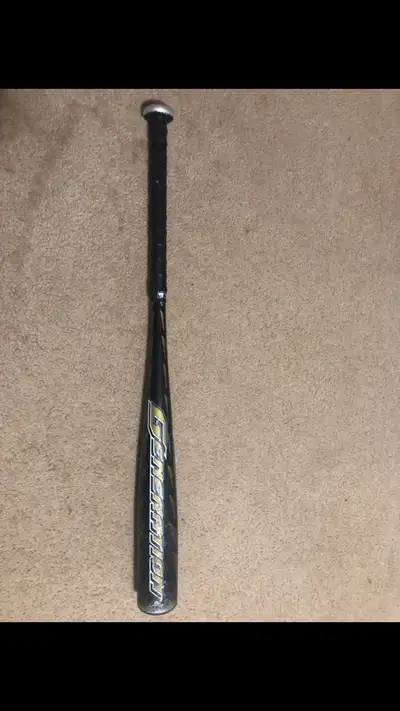 Mizuno Generation Bat, View more