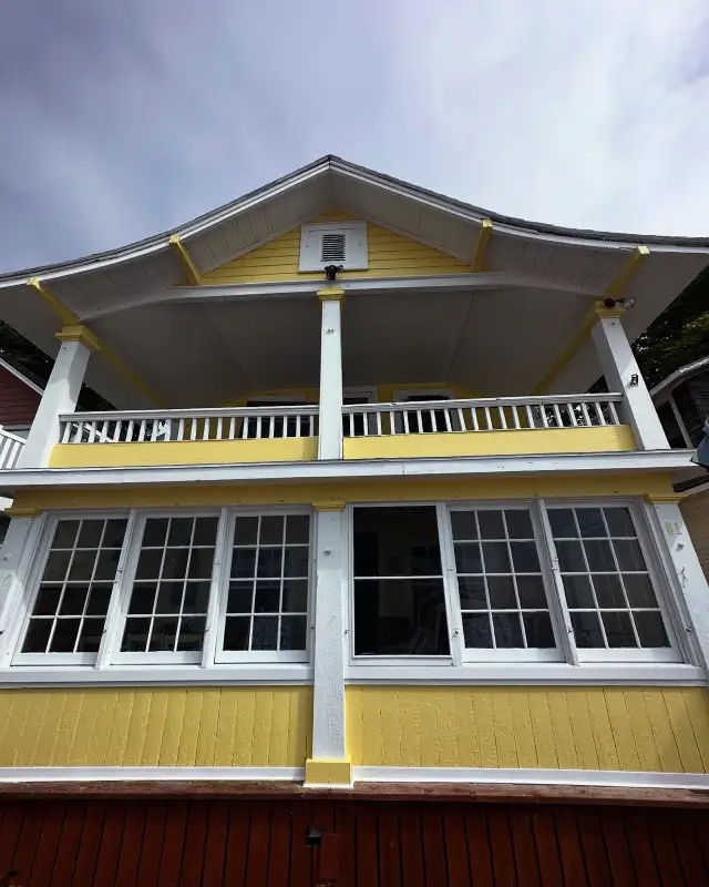Iris Finishing painting &reno62863218167811123