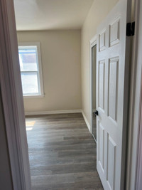 Available ASAP / May 1, Newly Renovated Beautiful Rooms / Studio