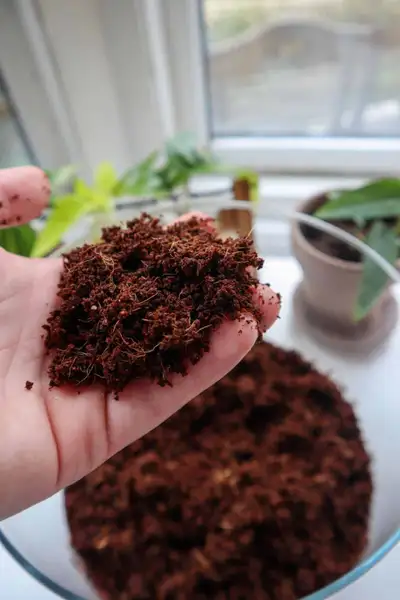 Terrarium Soil, View more