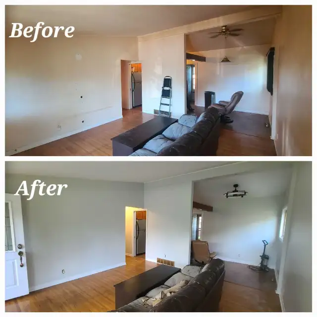Professional Painter594614342166128643