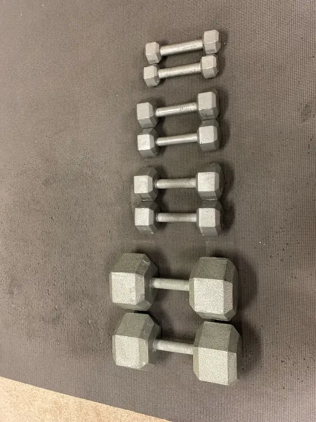 Dumbbell Weights ($1.50/lb) in Exercise Equipment in Ottawa - Image 3
