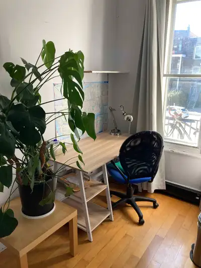 Bonjour à toustes! Matieu et Maggie, fin trentaine, partagent leur 5 1/2 dans la Petite-Patrie avec...