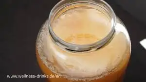 Kombucha Scoby as natural probiotic and 600 ml of Starter, View more