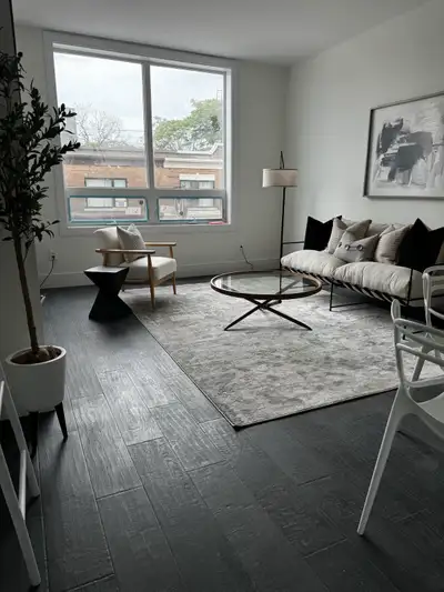 New 2 Bed Loft like apt in charming brownstone 1 block from HGH