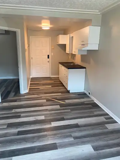 Updated 1 bedroom apartment for rent. Located on the second level of a small apartment complex in Ow...