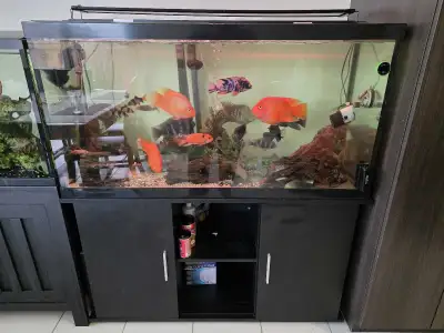 Aquarium for Sale - 90 gallons with  heater, lights & air pump, View more