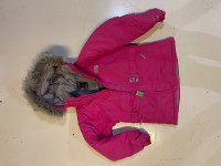 Northface Winter Jacket