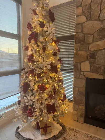 9ft Pre-lit Frazier Fir Flocked Christmas Tree, View more