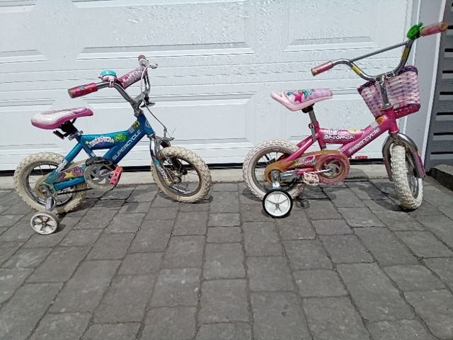 Vélos (2) pour fillettes dans Enfants  à Lac-Saint-Jean