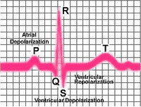 IV ADMINISTRATION &amp; EKG/ECG - CERTIFICATE PROGRAMS