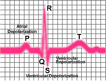IV ADMINISTRATION &amp; EKG/ECG - CERTIFICATE PROGRAMS in Classes & Lessons in Oshawa / Durham Region