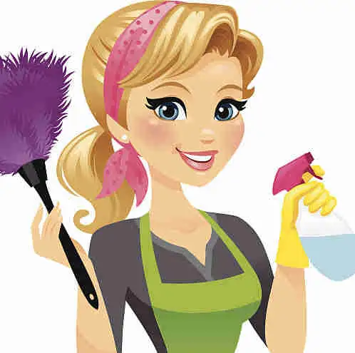Housewife / home helper628632425829141222