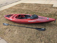 Kayak with roof top carrier