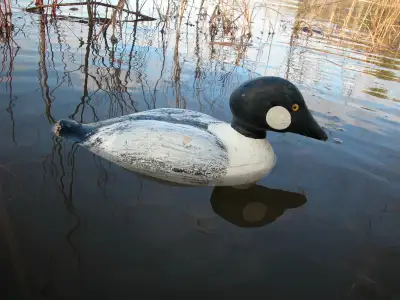 Duck Decoys - 'Golden Eyes', View more