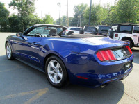Mustang Convertible Blue V6 (great condition, no accident)