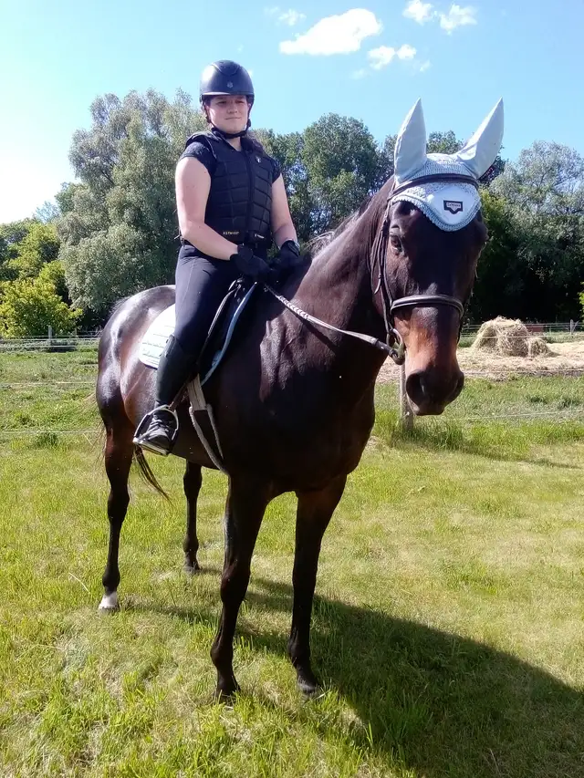 Riding Lessons