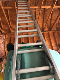 30 Aluminum Extension Ladder