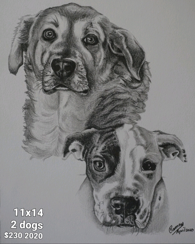 Pet Portraits in pencil or color in Animal & Pet Services in Fort St. John - Image 3