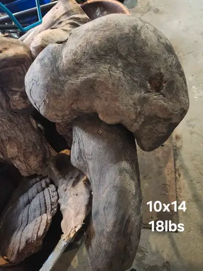 Wood Burls 30+ yr. Dry, View more
