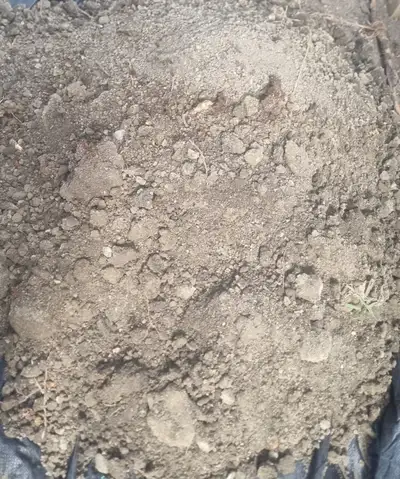 Have about 300 sqft of clay/soil available from a home excavation project. Free to whoever can haul...