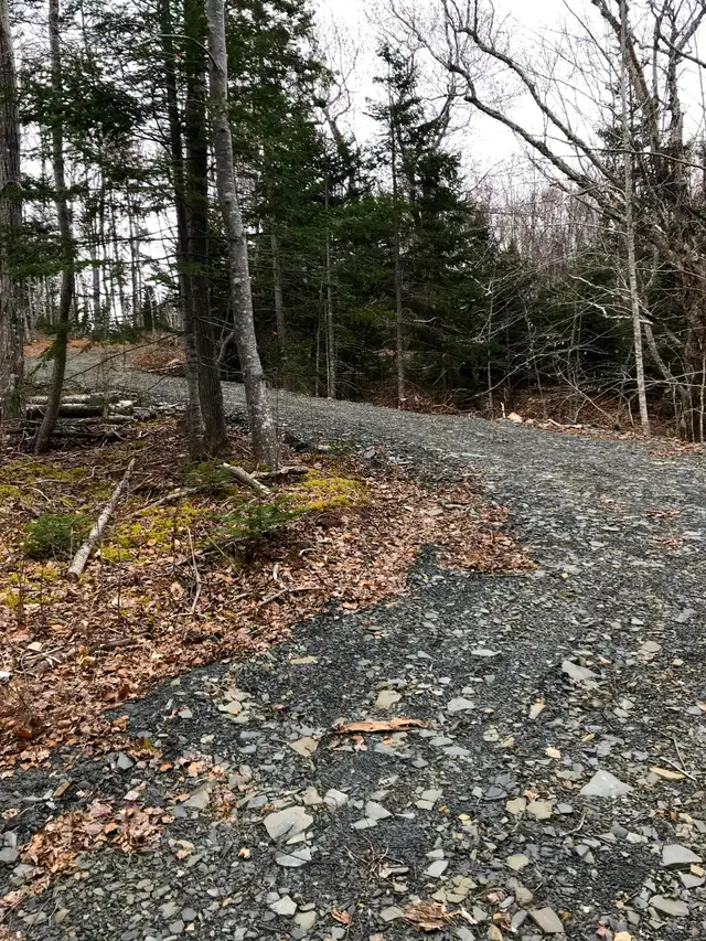 For Sale 10.7 acres of cleared/undeveloped land, Cape Breton, NS in Land for Sale in Vancouver - Image 4