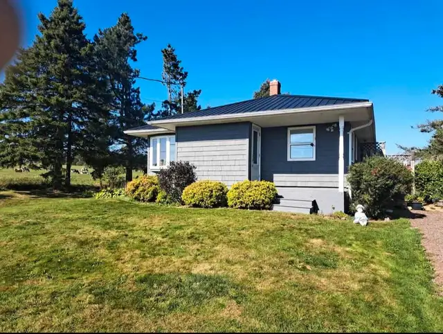 Pro Island Home Painting Services&More call today 902-978-0340 in Painters & Painting in Charlottetown - Image 8
