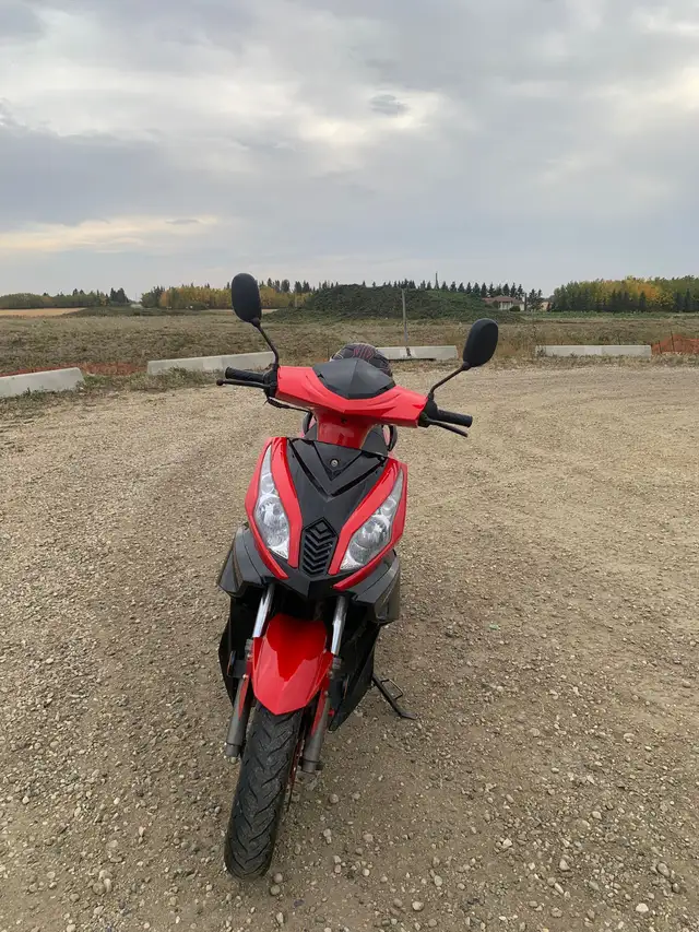2021 JIAJAE Voyageur Moped in Scooters & Pocket Bikes in Edmonton - Image 3