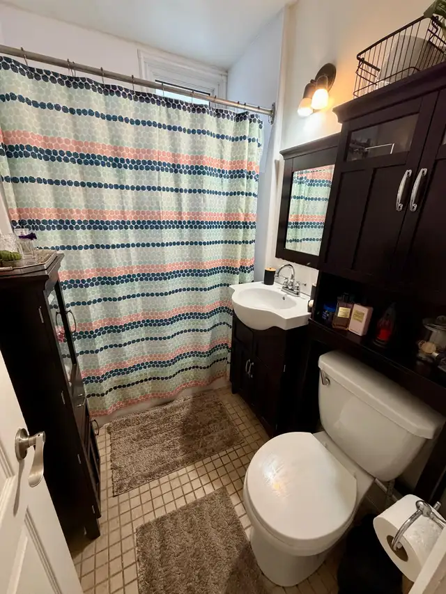 31/2 Nouveau -Rosemont in Long Term Rentals in City of Montréal - Image 6