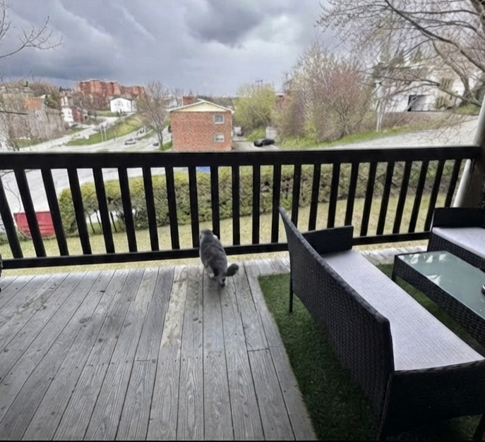 4 1/2 à louer(appartement de 2 chambres) Mois d'août GRATUIT — photo 1