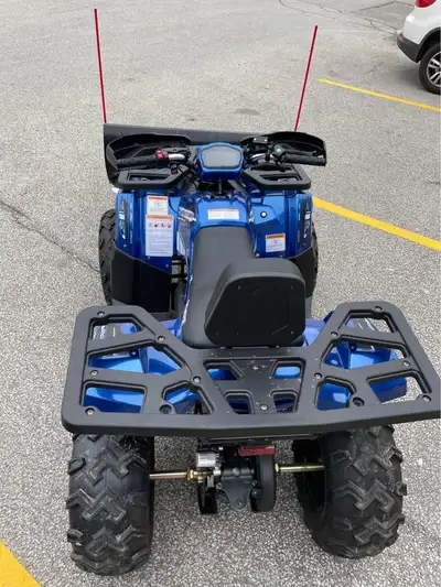 PRE FALL SALE - ATV W/ SNOW PLOW SET - $3,999, View more