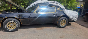 1981 Pontiac Firebird