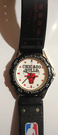 Chicago Bulls Fan Watch