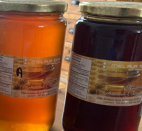 Limited Natural Honey from quebec dans Santé et besoins spéciaux  à Laval/Rive Nord