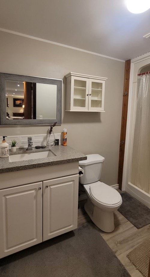 One bedroom basement apt. Very convenient location!! Mississauga 2