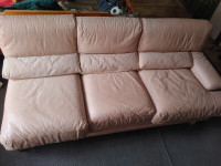 Imported Italian Leather 2-section sofa