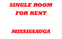 *** 1 ROOM in Basement for Rent in MISSISSAUGA！！！