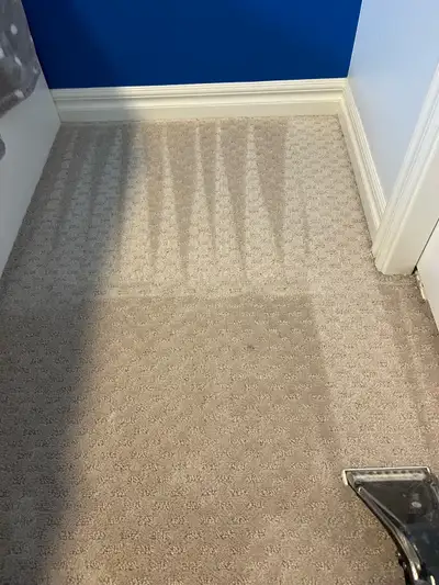Carpet & Upholstery Cleaning Calgary – Couch • Sofa • Mattress, View more