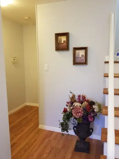 Basement, Yonge & Finch, 2 Bed $1,680